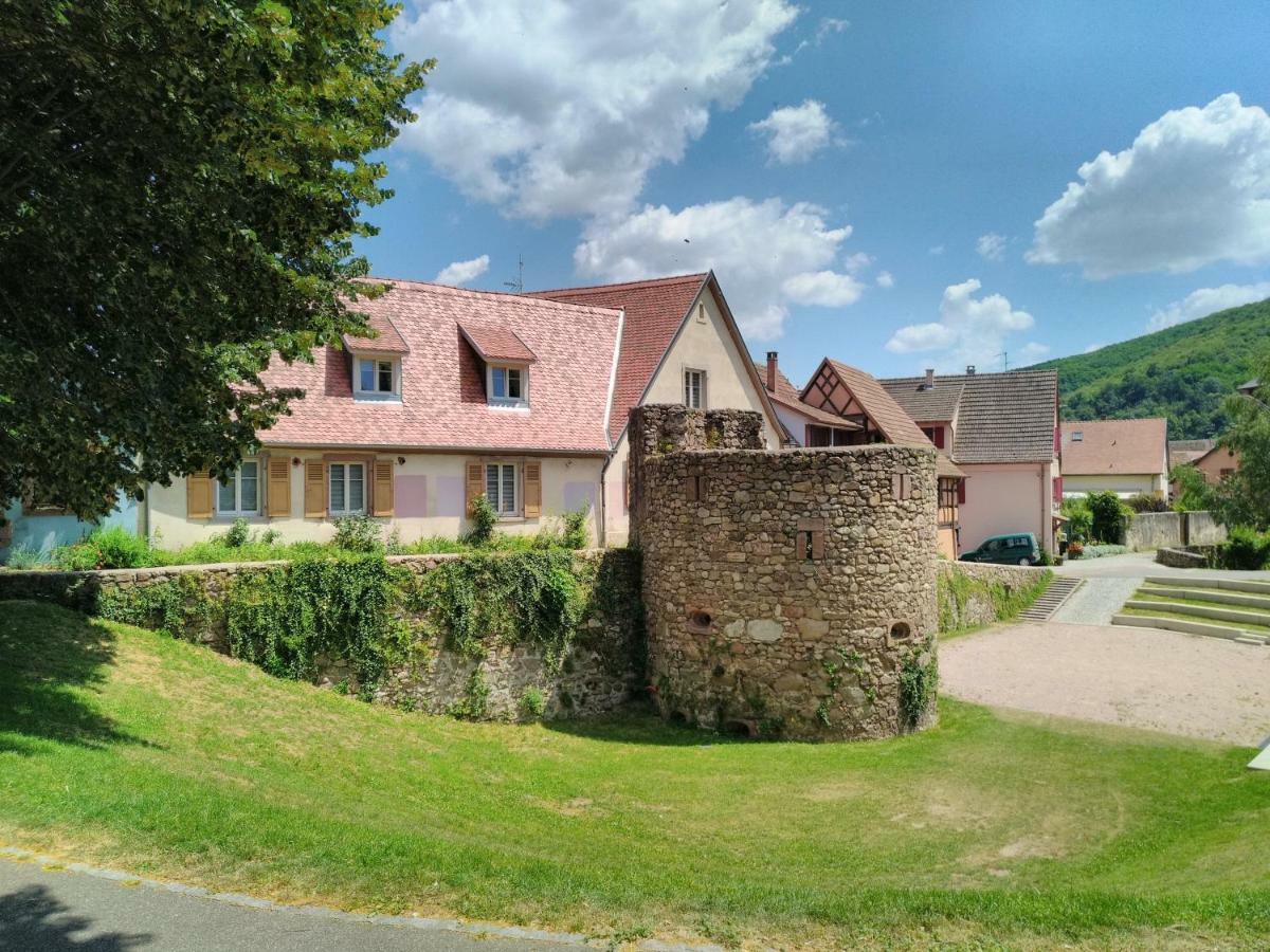 La Grande Terrine - Gites Les Potiers Kaysersberg-Vignoble Luaran gambar