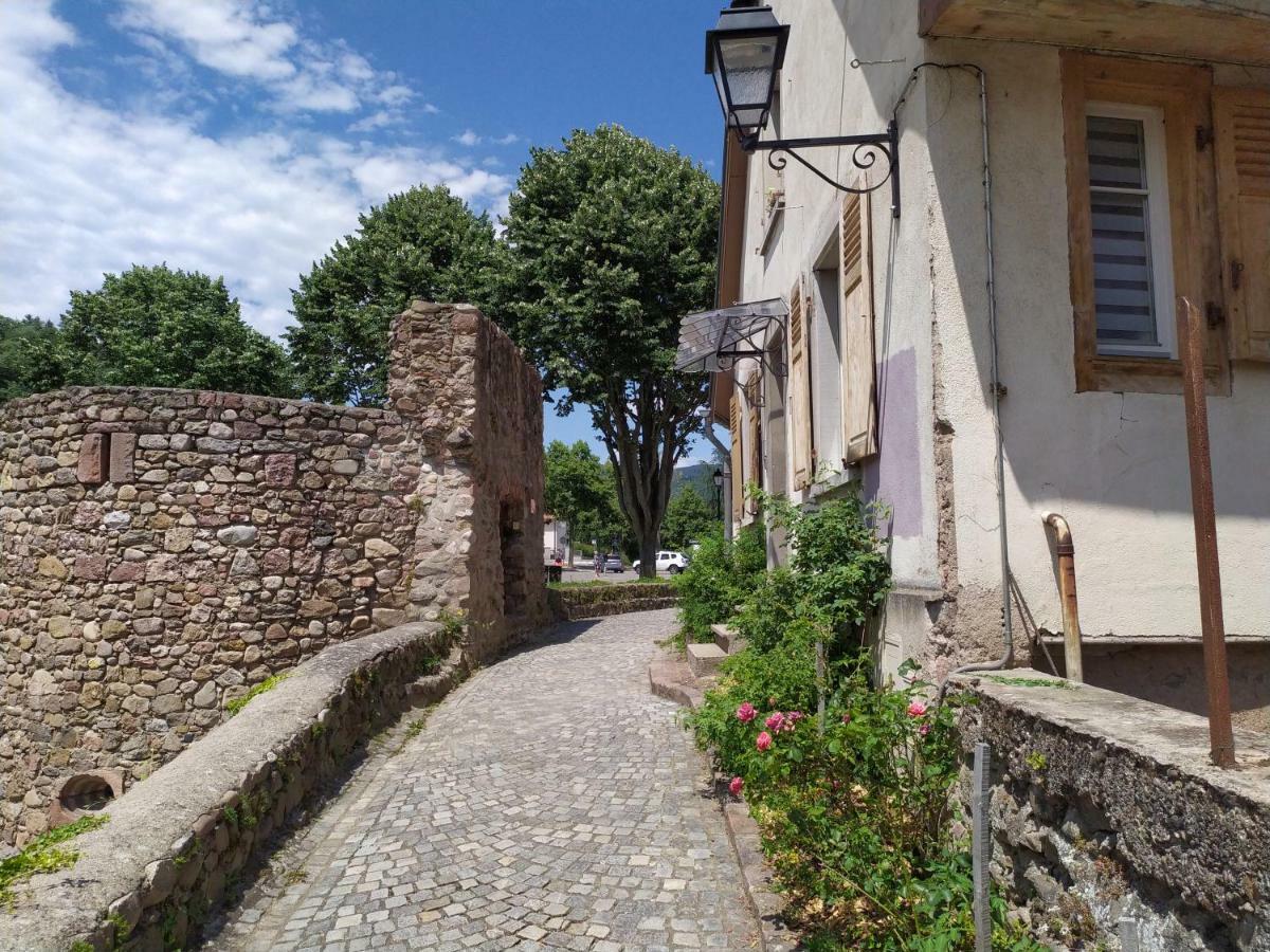 La Grande Terrine - Gites Les Potiers Kaysersberg-Vignoble Luaran gambar