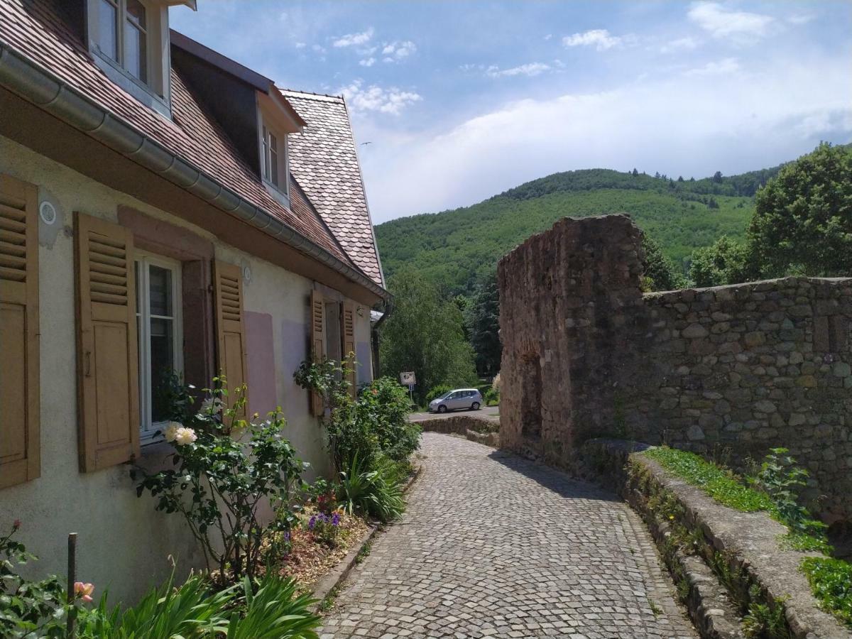 La Grande Terrine - Gites Les Potiers Kaysersberg-Vignoble Luaran gambar