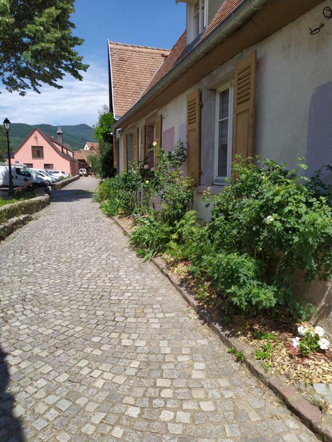 La Grande Terrine - Gites Les Potiers Kaysersberg-Vignoble Luaran gambar